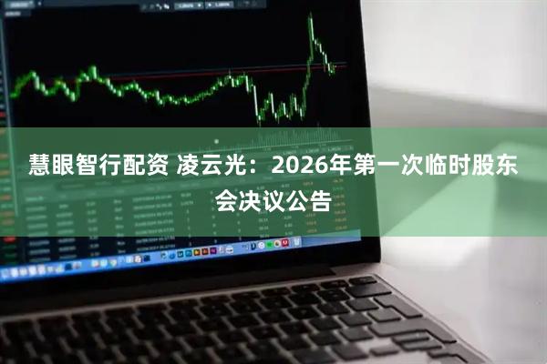 慧眼智行配资 凌云光：2026年第一次临时股东会决议公告